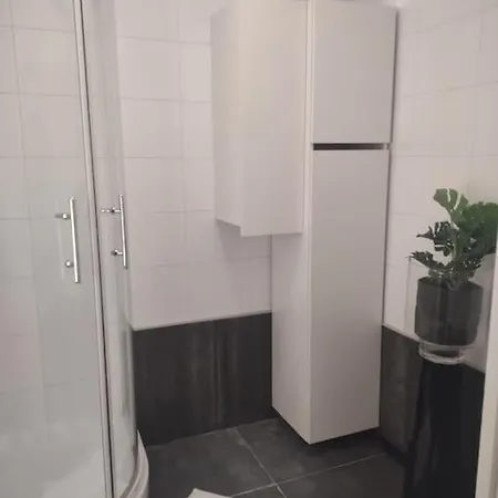 Schitterende Loft Met Gratis Parking, Vlakbij Apartment *